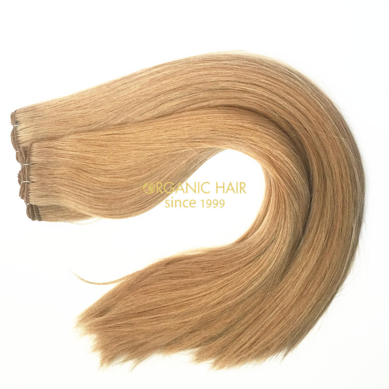 Virgin brazilian human hair extension